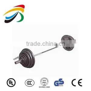 Olympic Plate Tree/ Weight Plate Rack/Storage Rack/Body Building/Fitness Equipment thumbnail-1