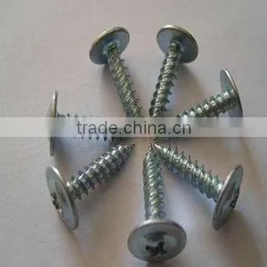 Wafer Head Tapping Screw thumbnail-1