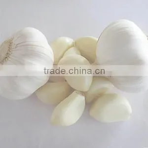 2016 NEW CROP GARLIC thumbnail-3