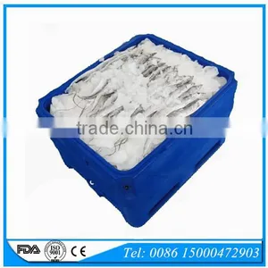 1000L Rotational Mold Plastic Marine Cooler for Fish Storage & Transportation thumbnail-5