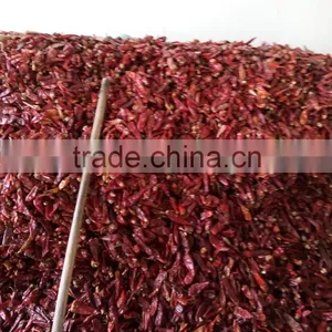 More Convenient and Stable Pepper Nail Clean Machine thumbnail-1