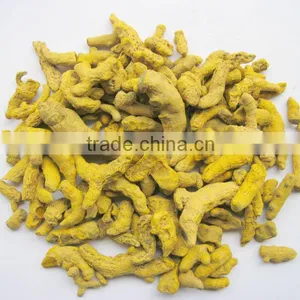 High Quality Turmeric Root thumbnail-1