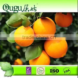 2014 China OEM Brands Oranges thumbnail-1