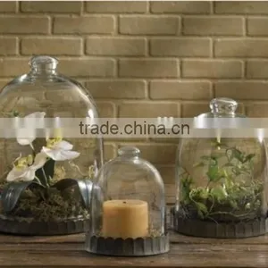 Wholesale Glass Bell Cloche and Glass Cloches as Glass Dome With Wooden Base thumbnail-3