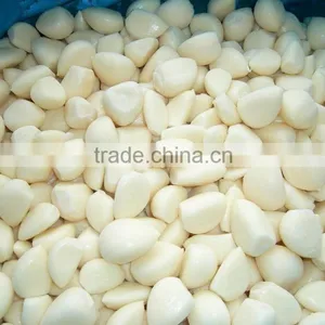 Dried Garlic Granule thumbnail-6