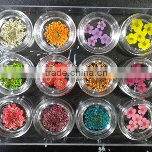 Nail Art Flower thumbnail-1