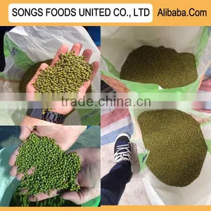 New Crop Hot Sale Green Mung Beans Specification thumbnail-1
