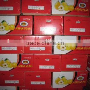 Fresh Shandong Pear 60-70-80 in 15kg Carton thumbnail-6
