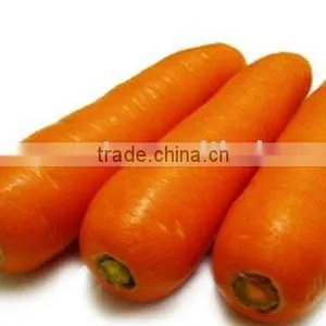 Fresh Vegetable Carrot thumbnail-1