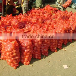 Red Onion thumbnail-4