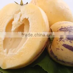 Pepino Seed Pepino Cucumber Seeds For Cultivation Germination Rate Above 93% thumbnail-2