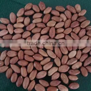 Raw Peanuts Prices thumbnail-1