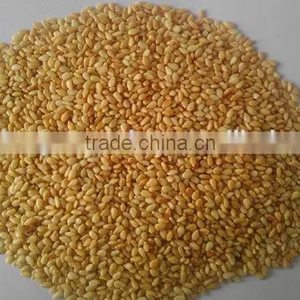 Baked Sesame Seeds thumbnail-5
