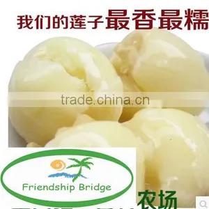 Nelumbo Nucifera Gaertn Lotus Nut Lotus Seeds thumbnail-2