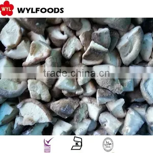 Shitakee Mushroom Iqf With Good Quality thumbnail-3