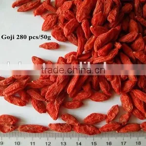 Lycium Fruit thumbnail-1