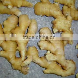Fresh Washed Ginger thumbnail-5