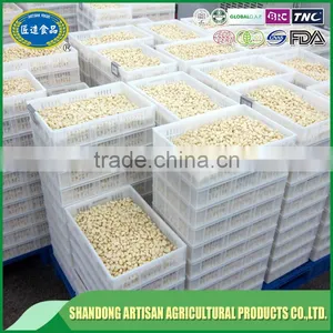 Factory Peeled Garlic Price thumbnail-5
