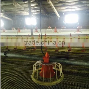Eonomical Commercial Steel Frame Broiler Chicken House thumbnail-4