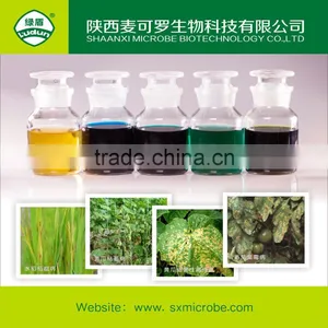 Kasugamycin 4%SL With Competitive Price thumbnail-3
