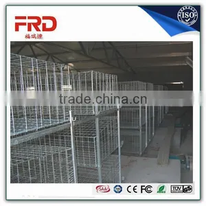 FRD 2016 High Quality Long Time Use Best Sale Chicken Egg Layer Cages /bird Cage for Sale/bird Cages for Sale Cheap thumbnail-3