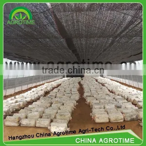 Mushrooms Greenhouse for Agriculture Farming thumbnail-2