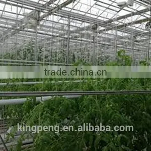 Snow and Ice Load Glass Greenhouse thumbnail-2