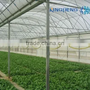 Agricultural Plastic Film Greenhouse With Arch Roof thumbnail-2