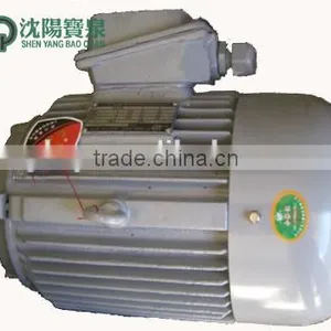 Good Quality Squirrel Cage Motor for Tower Crane thumbnail-1