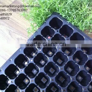 High Quality Vegetable Plastic Nursery Seedling Tray Black Plastic Plant Seed Growing Tray thumbnail-6