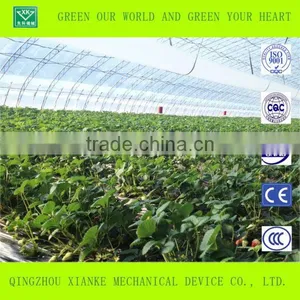 Low Cost Agriculture Greenhouse for Vegetable and Flowers thumbnail-2