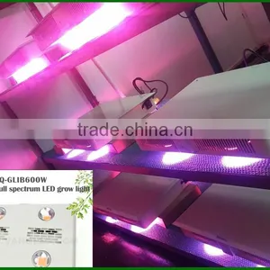 Cob Led Grow Lights 600 W Indoor Light to Grow Plants thumbnail-2