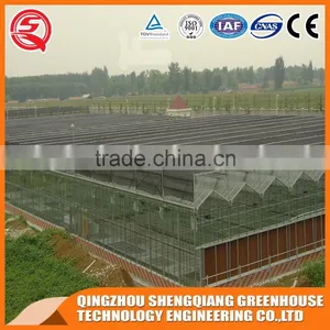 China Multi-span Glass Greenhouse Hydroponic Systems for Agriculture thumbnail-2