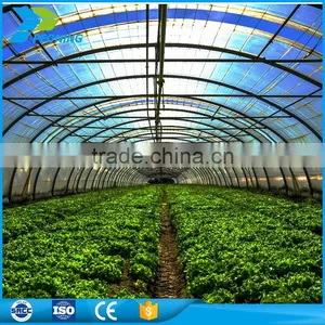 Polycarbonate Greenhouse for Plants Flower Vegetables thumbnail-1