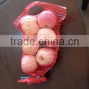 Hand Bags/raschel Bag /mesh Bag/fruits Bag/vegetable/handel Raschel Mesh Bag Used for Vegetable and f thumbnail-1