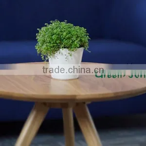 Small Flower Pot Plastic Decoration Potted Plant Pot thumbnail-5