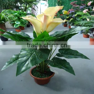 LXY081140 Make in China Artificial Calla Lily Flower Bonsai Plants for Sale thumbnail-1