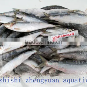Sea W/R Frozen Sardines thumbnail-3