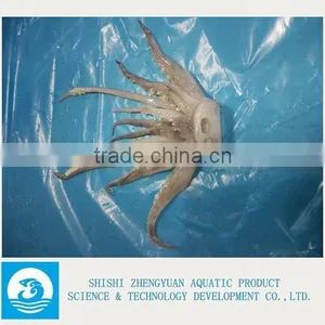 Frozen Argentina Illex Squid Tentacles thumbnail-1