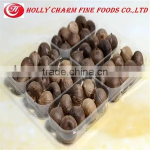 Hot Sale Healthcare Product Solo Black Garlic thumbnail-4