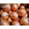 Onion,onion Supplier,Chinese Onion,fresh Onion,yellow Onion thumbnail-2