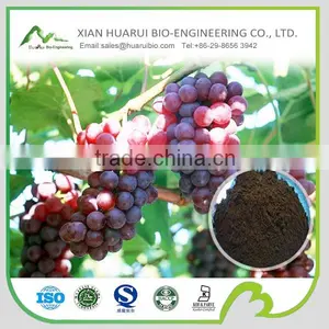 100% Natural Grape Seed P.E./grape Seed Extract Powder thumbnail-1