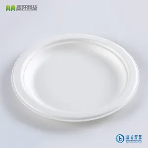 Disposable Biodegradable 6 INCH PLATE Take Away Sugarcane Outdoor Dining and Painting thumbnail-2