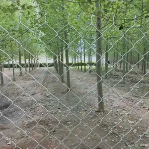Hot-dip Galvanized Steel Wire Mesh, Animal Fence thumbnail-5