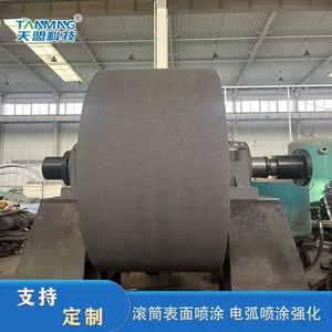Thermal Spraying Arc Spraying Enhanced Roller Surface Repair thumbnail-1