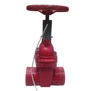 High-Performance Grooved Gate Valve Cast Iron Flange Rod Type Sluice Gate Valve for Fire Protection Purposes thumbnail-3