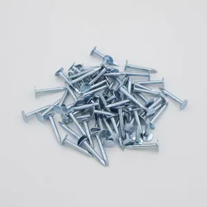 25kg Paper Carton Galvanized Roofing Clout Nails - Ready for OEM Branding thumbnail-1