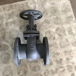 DN500 GOST Gate Valve WCB Pn25 Flange Type GOST 12815-80 Gate Valve With Electric Actuator thumbnail-6