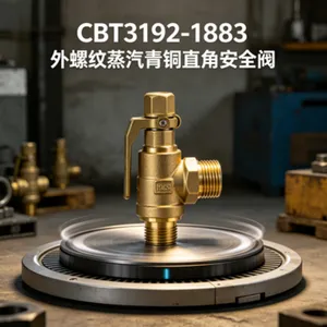 Marine External Thread Bronze Right-Angle Steam Safety Valve CBT3192-1983, 250°F Max Temperature thumbnail-5