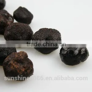 Chinese Frozen Fresh Truffles With High Quality and Best Price thumbnail-5